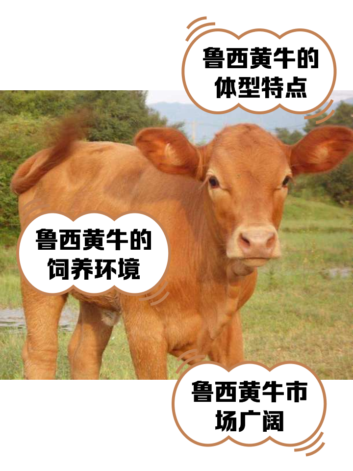 德清最新医保取现黄牛方法分析(最方便真实的德清医保取现黄牛怎么取方法)